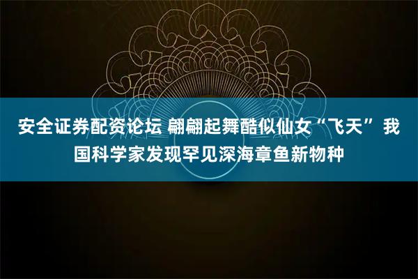 安全证券配资论坛 翩翩起舞酷似仙女“飞天” 我国科学家发现罕见深海章鱼新物种